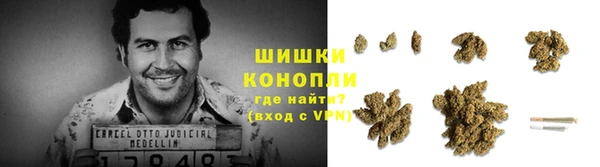 крисы Горно-Алтайск
