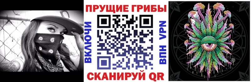 Псилоцибиновые грибы мицелий Данилов